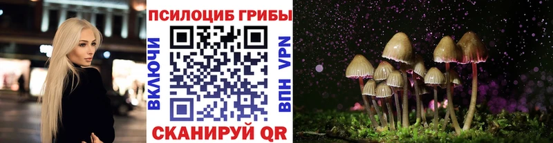 Псилоцибиновые грибы прущие грибы Жуковский